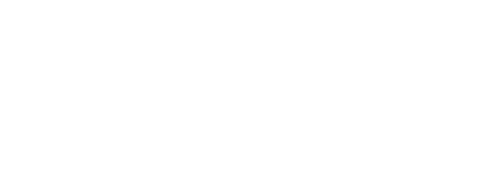 ValueOptions